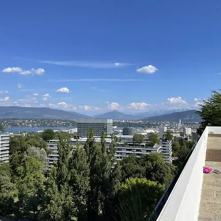 Wide, Bright And Quiet Loft Genève